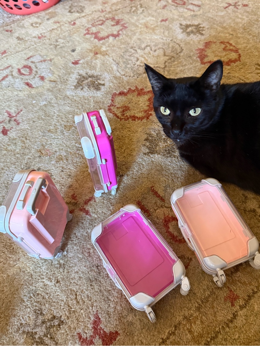 2 for $16 Jet Set lux rolling Cat travel Suitcase Makeup, jewelry, hard Bag